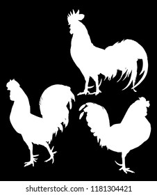 illustration with set of chicken silhouettes isolated on black background