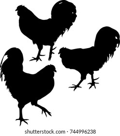 illustration with set of chicken silhouettes isolated on white background