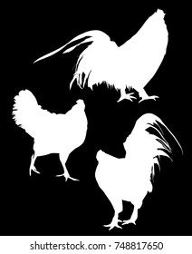 illustration with set of chicken silhouettes isolated on black background