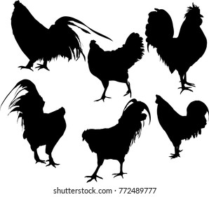illustration with set of chicken silhouettes isolated on white background