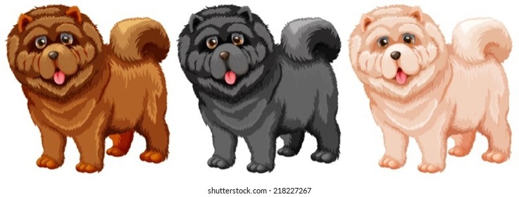 Illustration of a set of chow chow