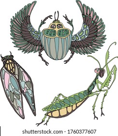 Ilustración de un conjunto de cigarras, mantis rezante, escarabajo de penas. Insectos aislados de diferentes colores sobre un fondo blanco para imprimir en envases, papel, ropa, diseñadores, menús, postales. 