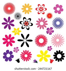 illustration of a set of colored flowers