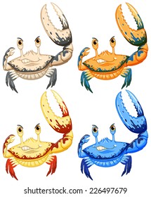 illustration of a set of crabs 