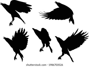 illustration with set of crow silhouettes isolated on white background