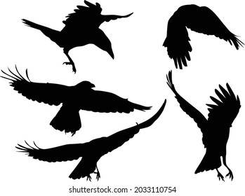 illustration with set of crow silhouettes isolated on white background
