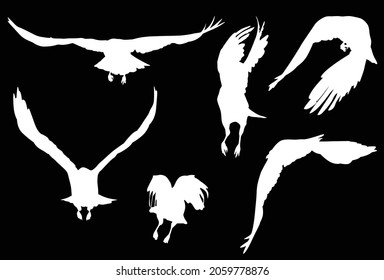 Illustration mit einer Reihe von Krähouettes einzeln auf schwarzem Hintergrund