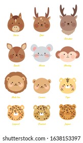 Illustration set of cute animals