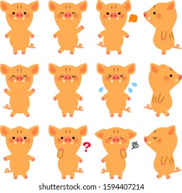 Illustration set of cute boar characters