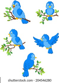 Illustration of a set of cute cartoon birds