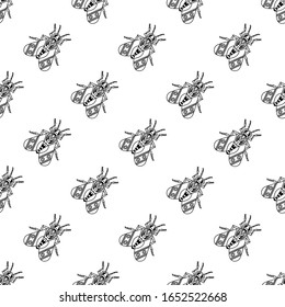 Illustration set of cute Insects black line art, Vector seamless pattern on white background for you design 