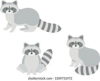 Illustration set of cute raccoons