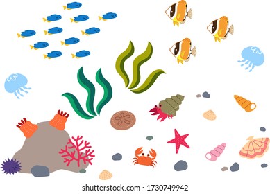 
Illustration set of cute sea creatures.