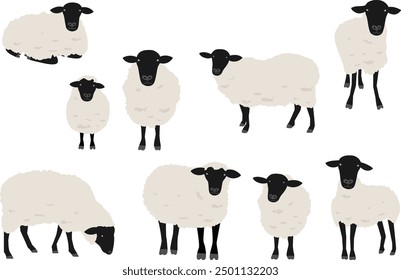 Illustration set of cute Suffolk sheep