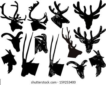 illustration with set of deers and goats heads isolated on white background