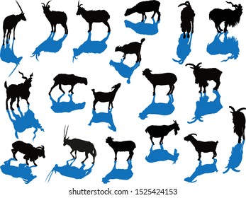 illustration with set of deers and goats silhouettes isolated on white background