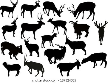 illustration with set of deers and goats silhouettes isolated on white background