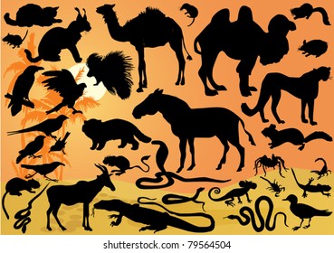 Illustration With Set Of Desert Animals