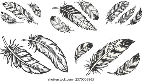 illustration, set, design, bird, feather, vintage, art, vector, isolated, wing, background, plume, drawing, color, boho, decoration, pen, fly, object, collection, white, texture, nature, colorful,