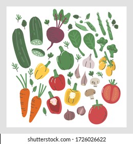 illustration set of difference species of vegetables. Flat cartoon of variation plant base food. Vegetarian ingredients fresh from farm and ready to eat.