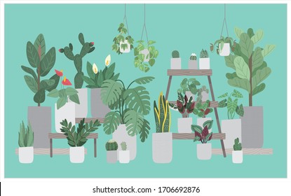 illustration set of difference variation species of ornamental plants in pot and hanging pot. plant pot decorate in room interior (aloe, fig, snake plant, philodendron, cactus, calathea, succulent )