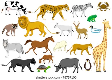 Illustration Set Different Animal On Isolated Stock Vector (Royalty ...