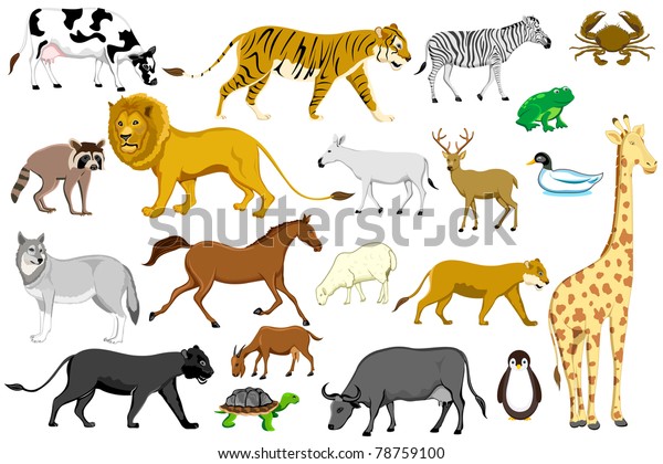 Illustration Set Different Animal On Isolated Stock Vector (Royalty ...