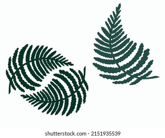 illustration of a set of different leaves and twigs in black