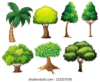 Illustration of a set of different trees