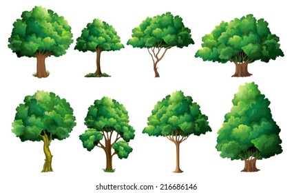 Illustration of a set of different trees