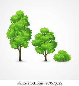 Illustration of a set of different trees. Vector illustration EPS 10