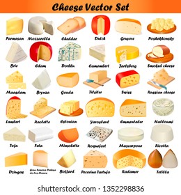 illustration set of different types of cheese on a white background