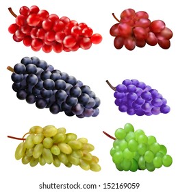 illustration set of different varieties of grapes