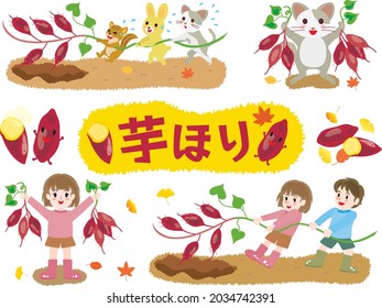 Illustration set of digging for sweet potatoes and Japanese letter. Translation : "Digging for sweet potatoes"