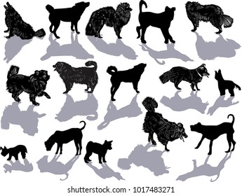 illustration with set of dogs isolated on white background