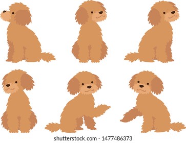 Illustration set of dogs sitting and shaking hand (poodle)