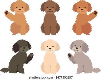 Illustration set of dogs of various hair colors (poodle)