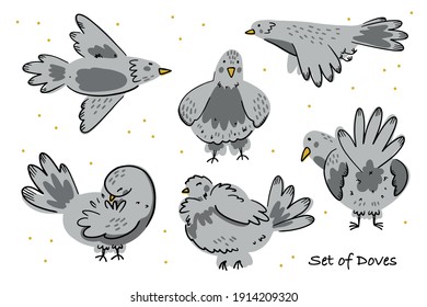 Illustration set of doves. Birds in different poses. Simple hand drawn cute style. Isolated objects on a white background. 