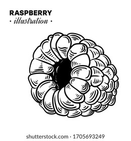 Illustration set of drawing raspberry. Hand draw illustration set for design. Vector engraving drawing antique illustration of raspberry.