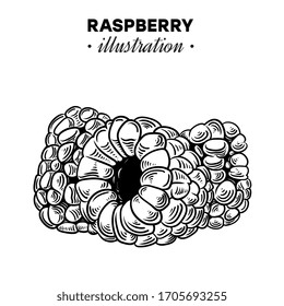 Illustration set of drawing raspberry. Hand draw illustration set for design. Vector engraving drawing antique illustration of raspberry.