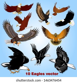 Illustration set of eagles in flight in the sky