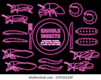 Illustration set of edible insects Neon sign