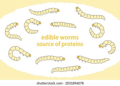 Illustration set of edible insects Edible worms Next-generation protein resources