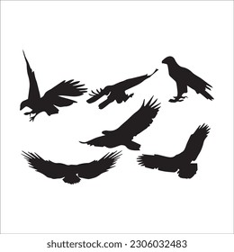 illustration with set of eight crow silhouettes isolated on white background ,black image