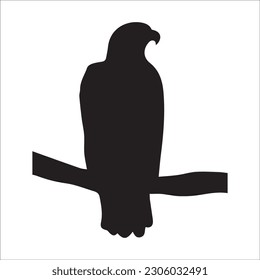 illustration with set of eight crow silhouettes isolated on white background ,black image
