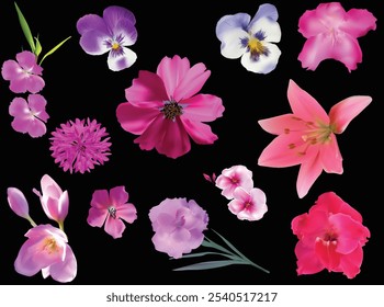 illustration with set of eleven pink flowers isolated on black background