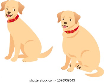 Illustration set of a fat dog and a Standard body dog