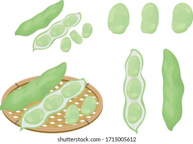 そら豆 のイラスト素材 画像 ベクター画像 Shutterstock