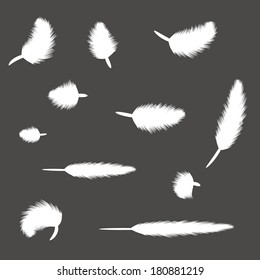  illustration with set of feathers for your design
