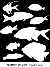 ilustración con conjunto de siluetas de peces aisladas en fondo negro